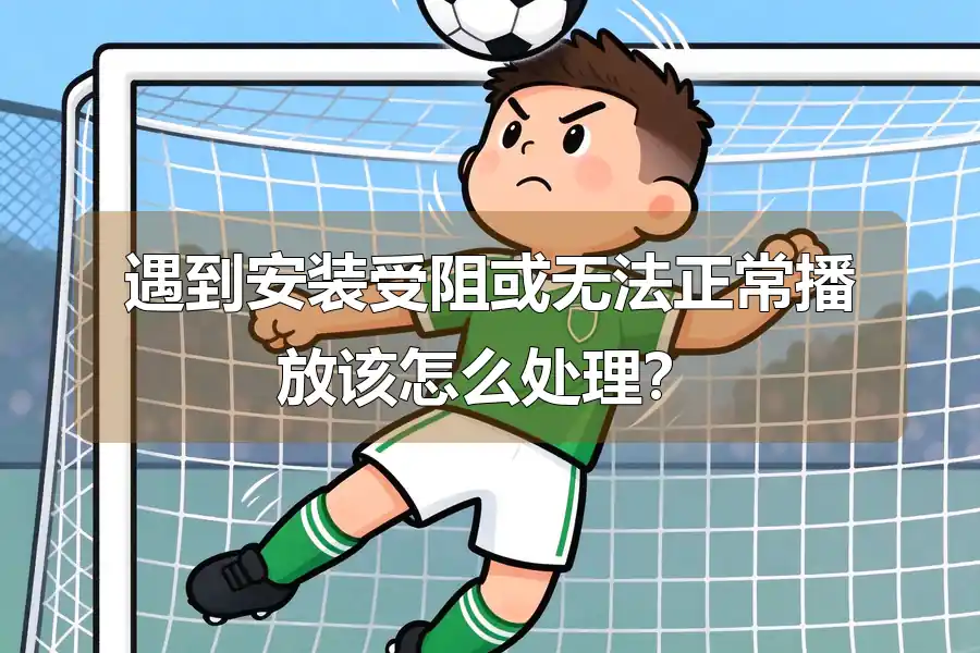 遇到安装受阻或无法正常播放该怎么处理?